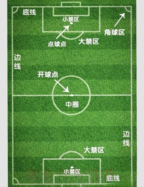 掌握世界杯滚球在线技巧与策略