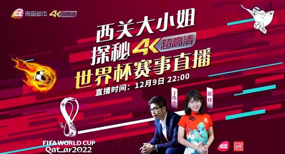 全面解析世界杯直播技巧与官方指南